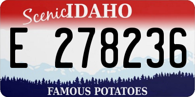 ID license plate E278236