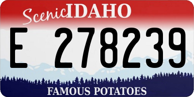 ID license plate E278239