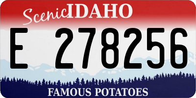 ID license plate E278256