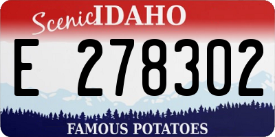 ID license plate E278302
