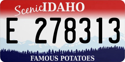 ID license plate E278313