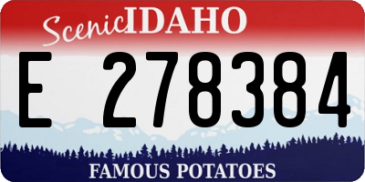 ID license plate E278384