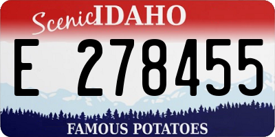 ID license plate E278455