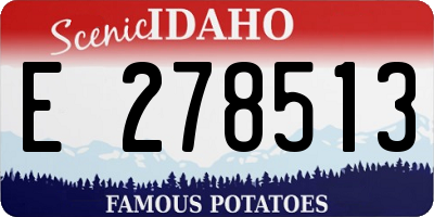 ID license plate E278513