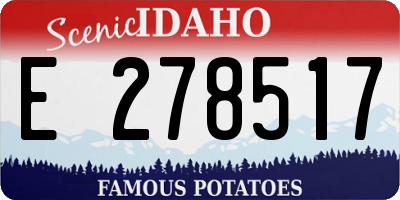 ID license plate E278517