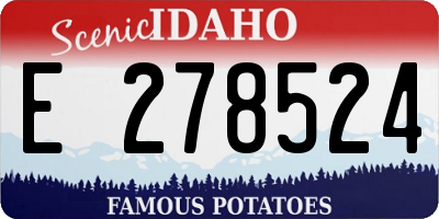 ID license plate E278524