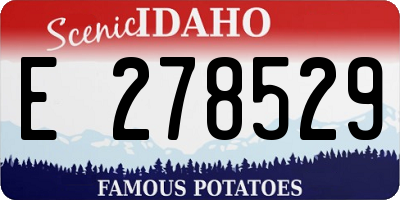 ID license plate E278529