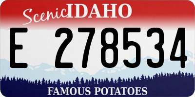 ID license plate E278534