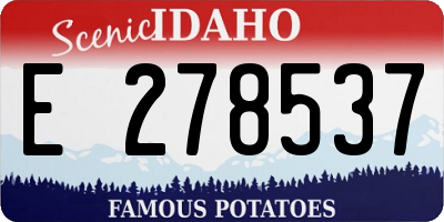 ID license plate E278537