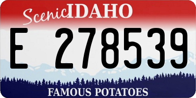 ID license plate E278539