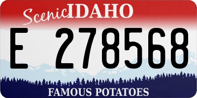 ID license plate E278568