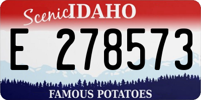 ID license plate E278573