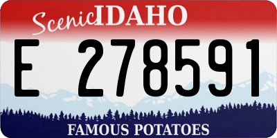 ID license plate E278591