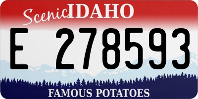 ID license plate E278593