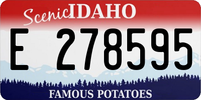 ID license plate E278595