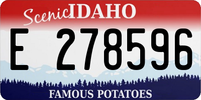 ID license plate E278596