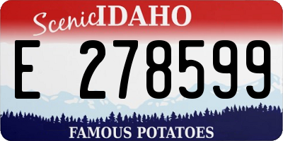 ID license plate E278599