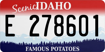 ID license plate E278601