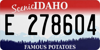 ID license plate E278604