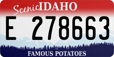 ID license plate E278663