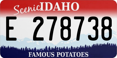 ID license plate E278738