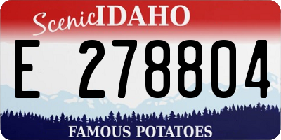 ID license plate E278804