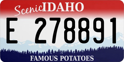 ID license plate E278891
