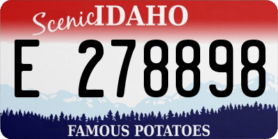ID license plate E278898