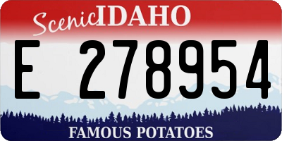 ID license plate E278954