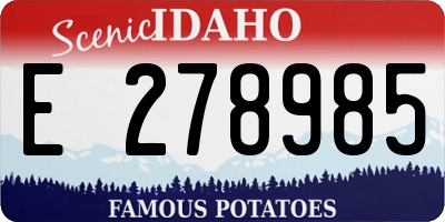 ID license plate E278985