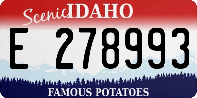 ID license plate E278993