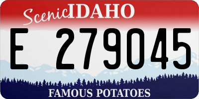 ID license plate E279045