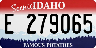 ID license plate E279065