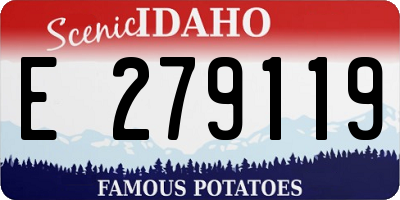 ID license plate E279119