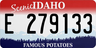 ID license plate E279133
