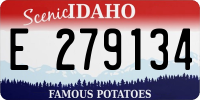 ID license plate E279134