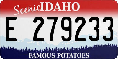 ID license plate E279233