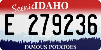 ID license plate E279236
