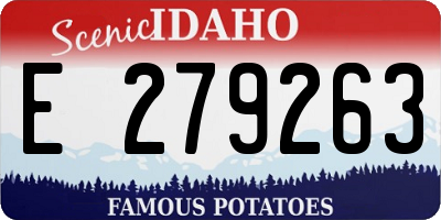 ID license plate E279263