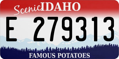 ID license plate E279313