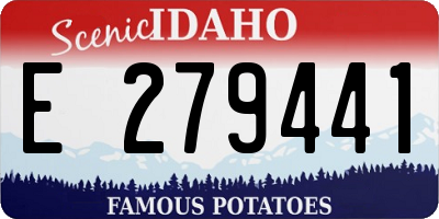 ID license plate E279441