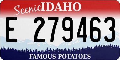 ID license plate E279463