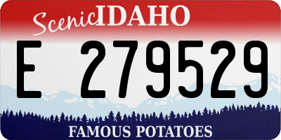 ID license plate E279529