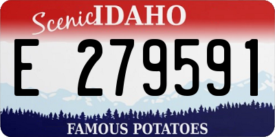 ID license plate E279591