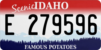 ID license plate E279596