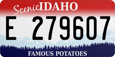 ID license plate E279607