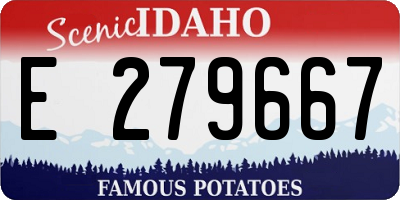 ID license plate E279667