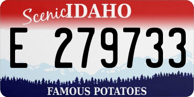 ID license plate E279733