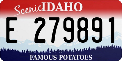 ID license plate E279891