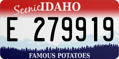ID license plate E279919
